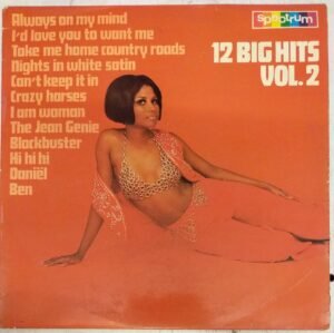 12 Big Hits Volume 2 LP Vinyl Record www.mossymart.com