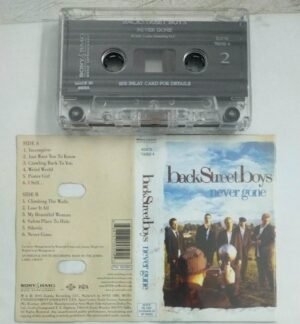 Back Street Boys Never gone English Audio Cassette